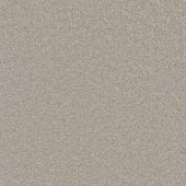 Carpetright Fortune Platinum Carpet