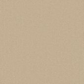 Barcelona Beige Carpet