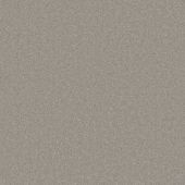 Barcelona Iron Carpet