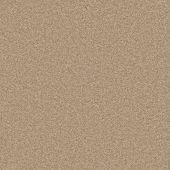 Rustic Charm Suede Carpet