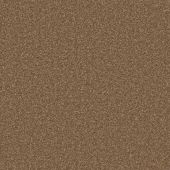 Rustic Charm Rust Carpet