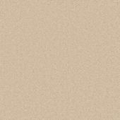 Asha Sand Carpet