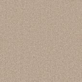 Asha Birch Carpet