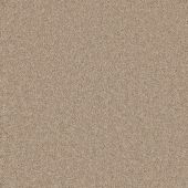 Labyrinth Antelope Carpet