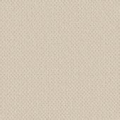 Vulcan Sand Boucle Carpet