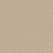 Barbados Beige Carpet