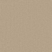 Barbados Mink Carpet