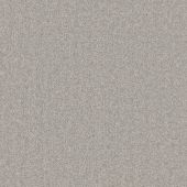 Barbados Lichen Carpet