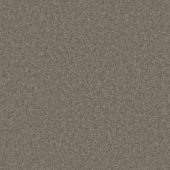 John Lewis Bond Velvet Shetland Carpet