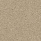 John Lewis Bond Velvet Merino Carpet