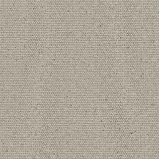 Savannah Heather Steel