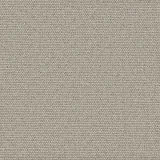 Savannah Heather Foggy