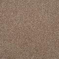 Falcon Beige Carpet