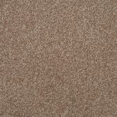 Falcon Beige Carpet