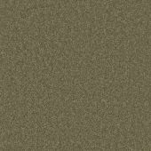 Daytona Forest Carpet