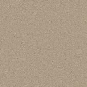 Daytona Sand Carpet