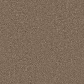 Daytona Taupe Carpet