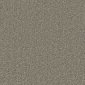 Daytona Stone Carpet