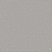 Carpetright Boston Silver Carpet