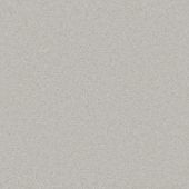 Beauty Silver Carpet