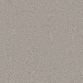 Verve Platinum Carpet