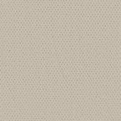 Canyon Berber Old Lace Weave Carpet