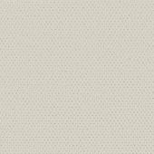 Canyon Berber Ivory Weave Carpet