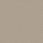 Katmandu Cream Carpet