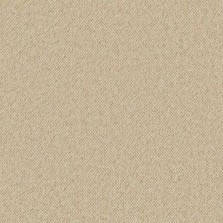 Sand Dune