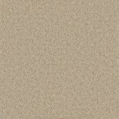 Voyager Misty Carpet