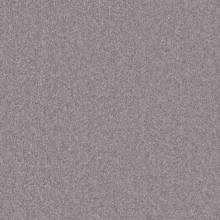 Steel