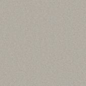 Alderwood Silver Carpet