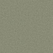 Alderwood Sage Carpet