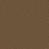 Alderwood Mocha Carpet