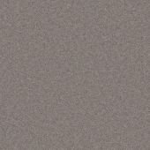 Alderwood Grey Carpet