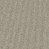 Brookdale Flint Carpet