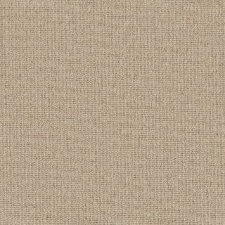 Beechcroft Fog Linea