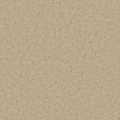 Napier Canvas Random Carpet