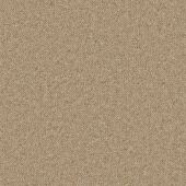 Napier Caramel Random Carpet