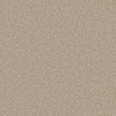Hartford Beige Carpet