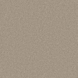 Concord Beige