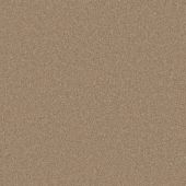 Concord Chestnut Carpet