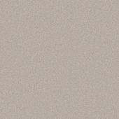 Concord Cream Carpet