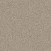 Concord Nougat Carpet