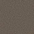 Concord Soot Carpet