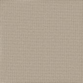 Galileo Canvas Carpet