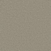 Metropolitan Canvas Carpet