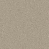 Metropolitan Parchment Carpet