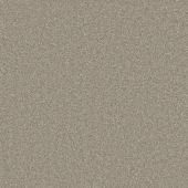 Sherwood Coffee Carpet