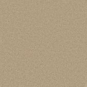 Sherwood Camel Carpet